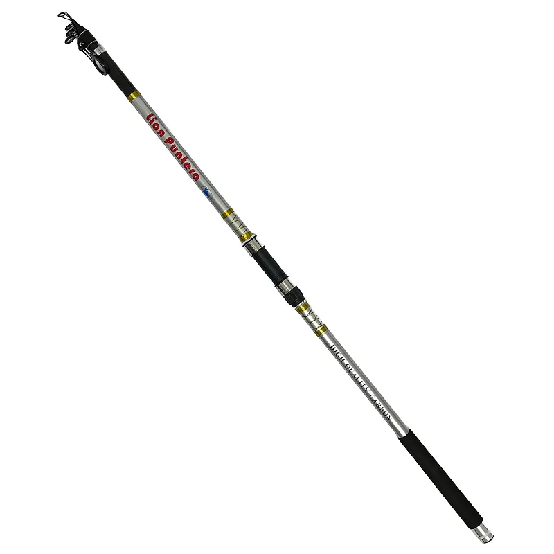 Lion Puntera חכת חוף באורך 4.20 מטר